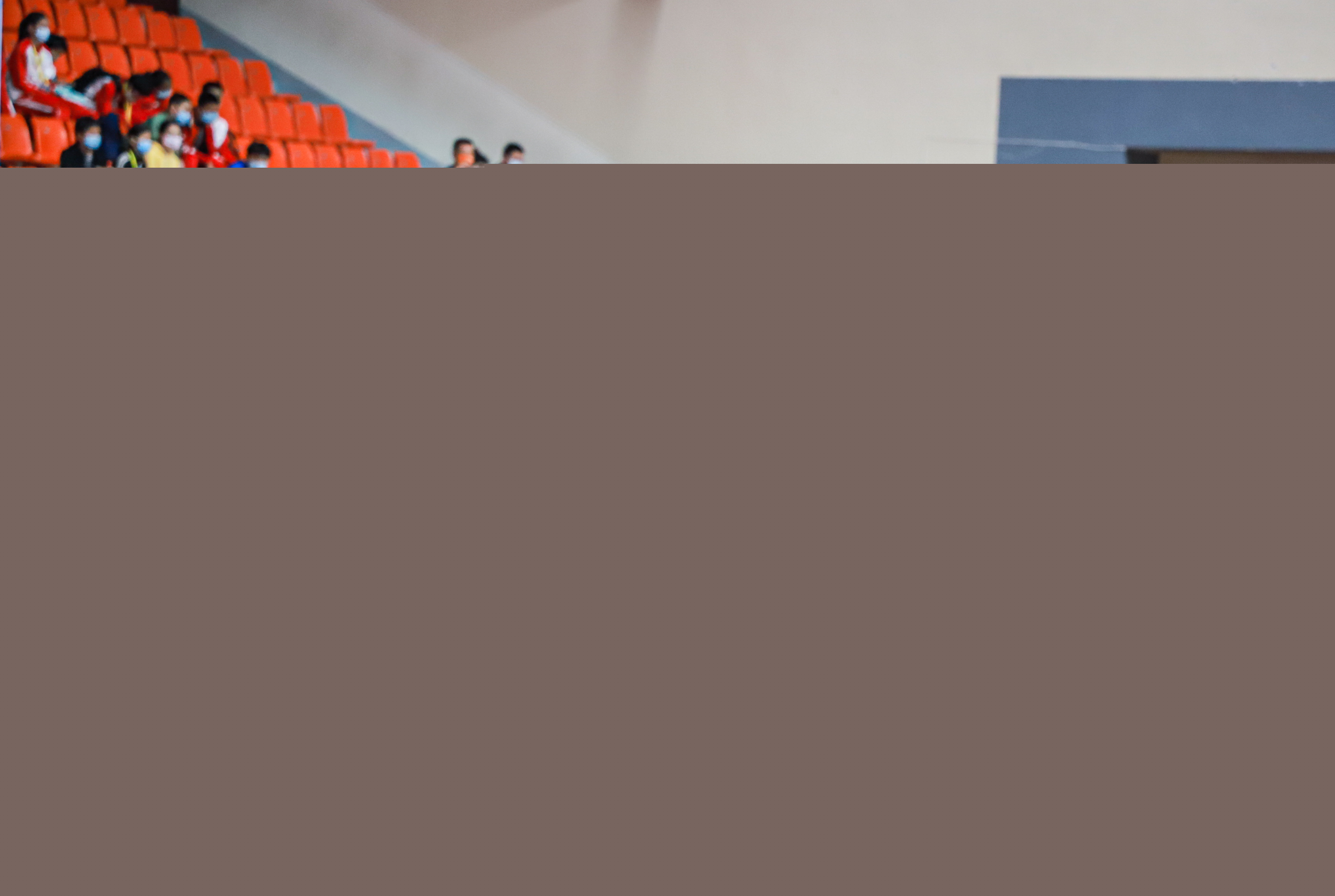 法律设定抚 法律设定抚