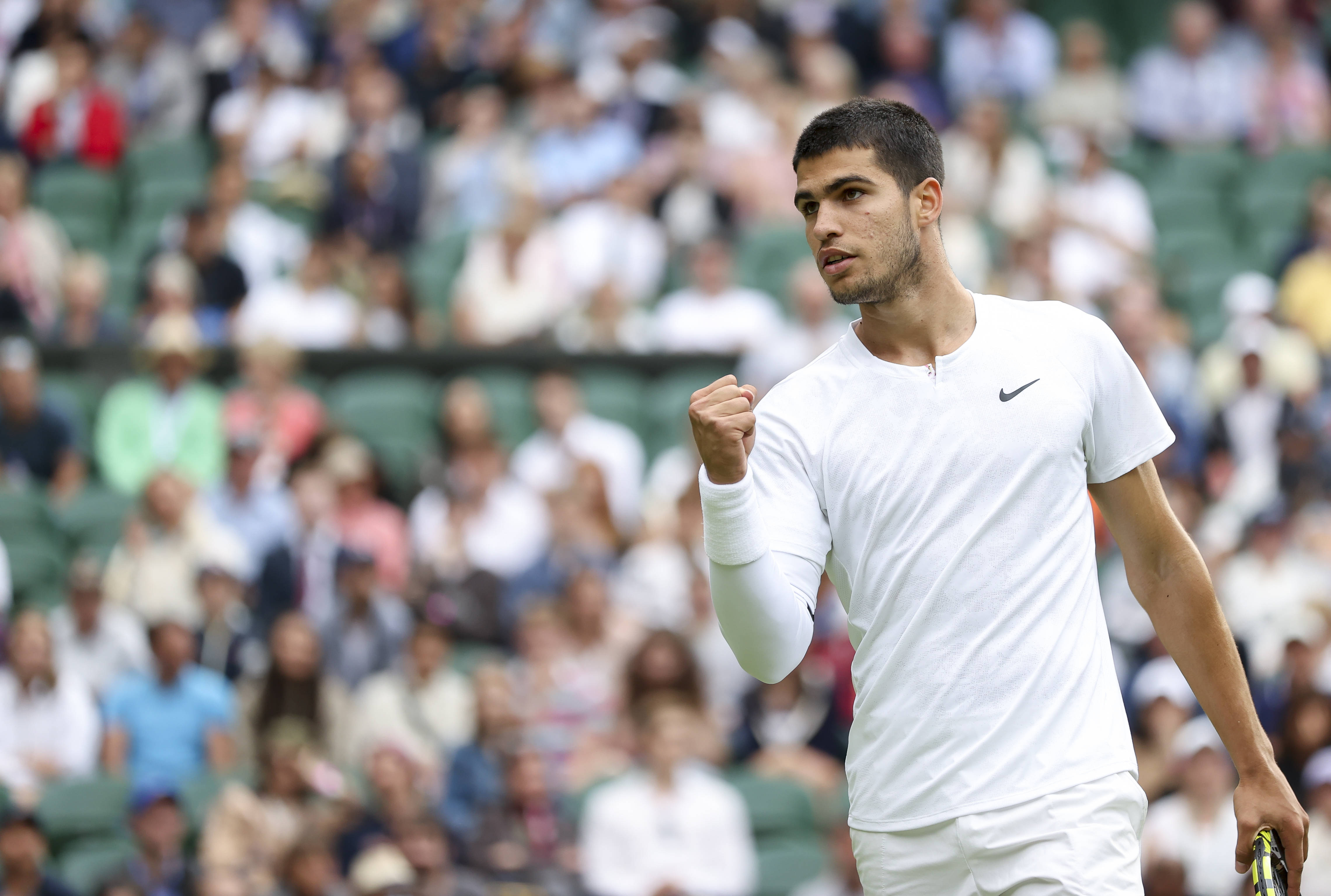 了极佳的能 了极佳的能