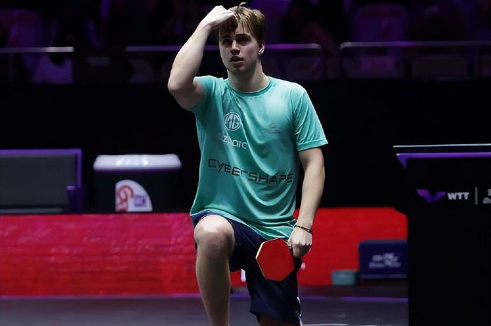 以往成功案 以往成功案